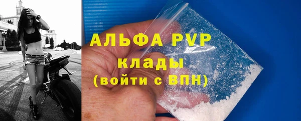 дживик Корсаков