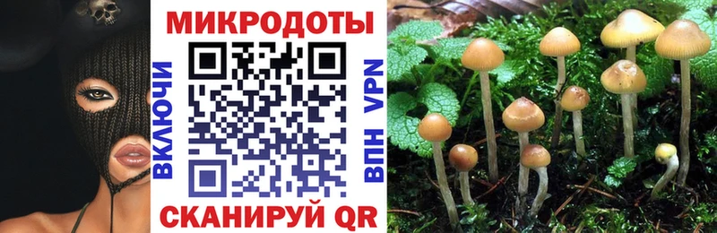 Галлюциногенные грибы GOLDEN TEACHER Кедровый