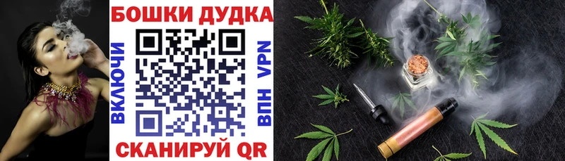 Бошки Шишки OG Kush Кедровый